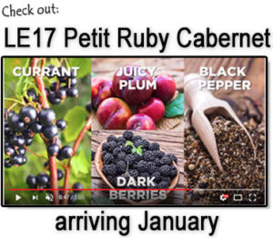 LE17 Petit Ruby Cabernet (January)
